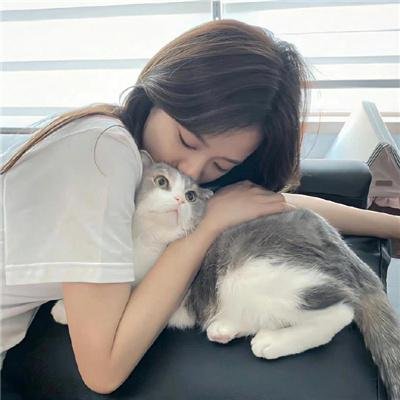 首尔抉择